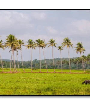 Scenery 5