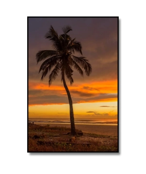 Sunset 1