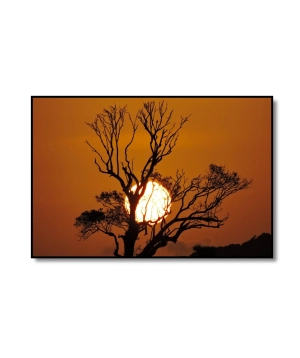 Sunset 2