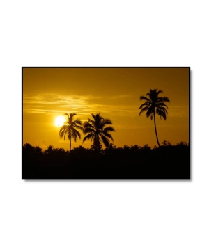 Sunset 3