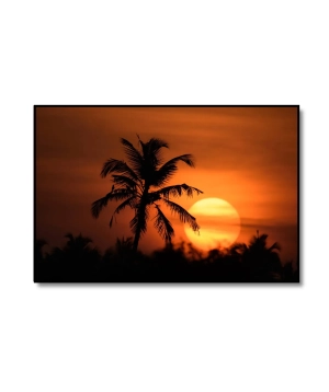 Sunset 5